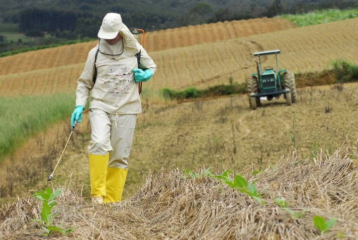 Segurança e Saúde no Trabalho Agrícola